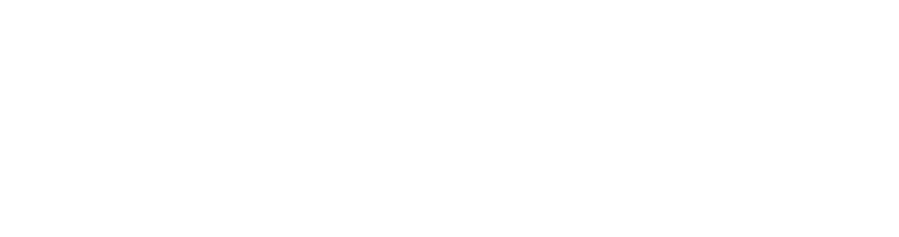 Field Sales Intelligence